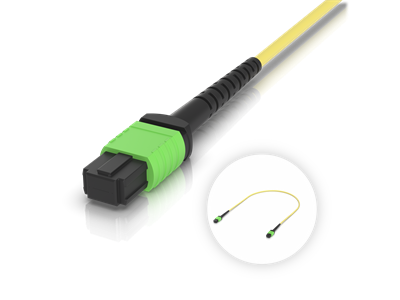 Ubiquiti, OM4 MPO-12 UPC Fiber Patch Cable, 0,5M