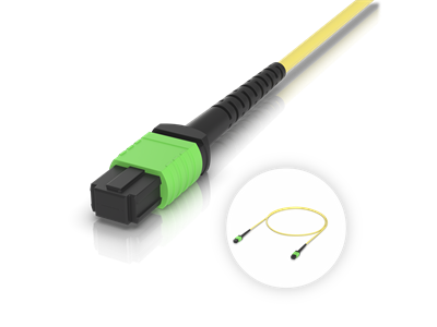 Ubiquiti, OM4 MPO-12 UPC Fiber Patch Cable, 1M